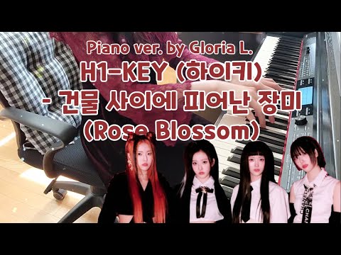 건물 사이에 피어난 장미 (Rose Blossom) - H1-KEY (하이키)
