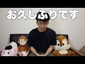 【真面目】販売士2級を取得させていただきました。