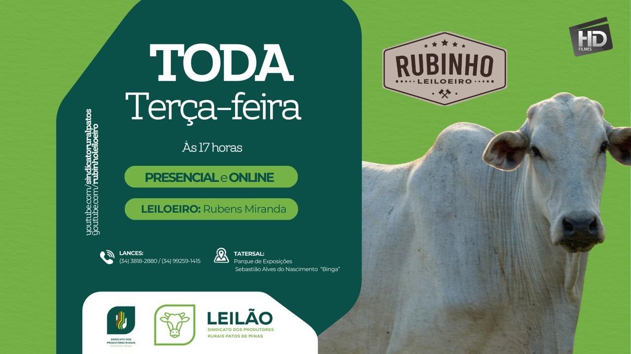 🐮287º Leilão Sindicato Rural de Patos de Minas - 10/03/2026