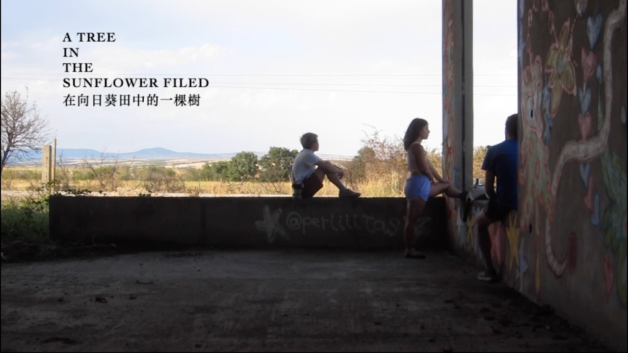 A tree in the sunflower field