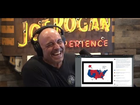 Shane Gillis Trump Impression makes Joe Rogan Crack up!!
