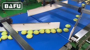 cake, bread, cookies, biscuit automatic packaging machine, flow-pack machine, flow wrapper