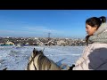 Объезд лошадей