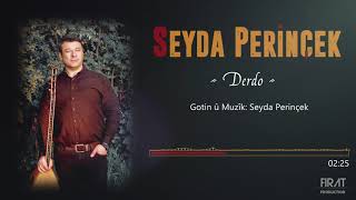 Seyda Perinçek - Derdo Resimi