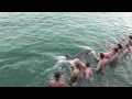 Морской дельфинарий в Варадеро