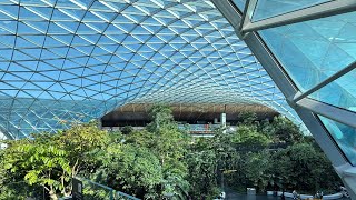 Hammad International Airport Qatar, Orchard #viewqatar #QatarThroughYourLense #mrpinoyaussie2