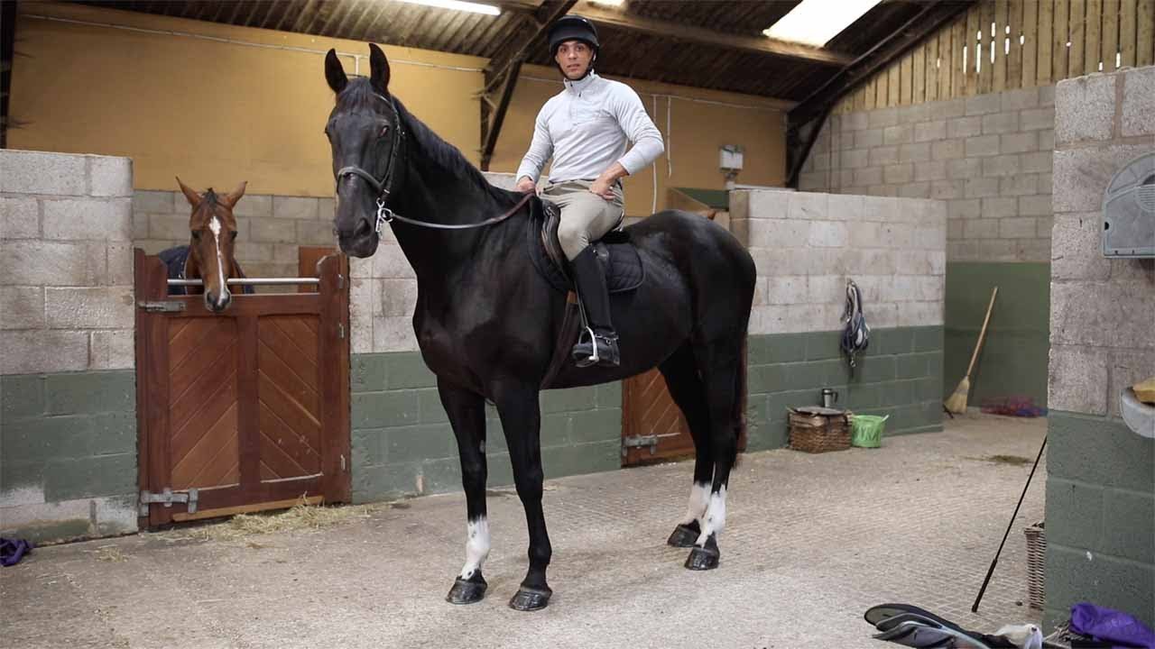 Soldier Reunited With Military Horse YouTube