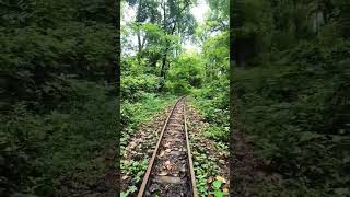 lonely walk amidst nature(Anabelle comes home)#horrorstories#nature#viral#railway#hills#scary#ghost