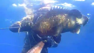 İsmail Çınar Alanya Orfoz 3 kg