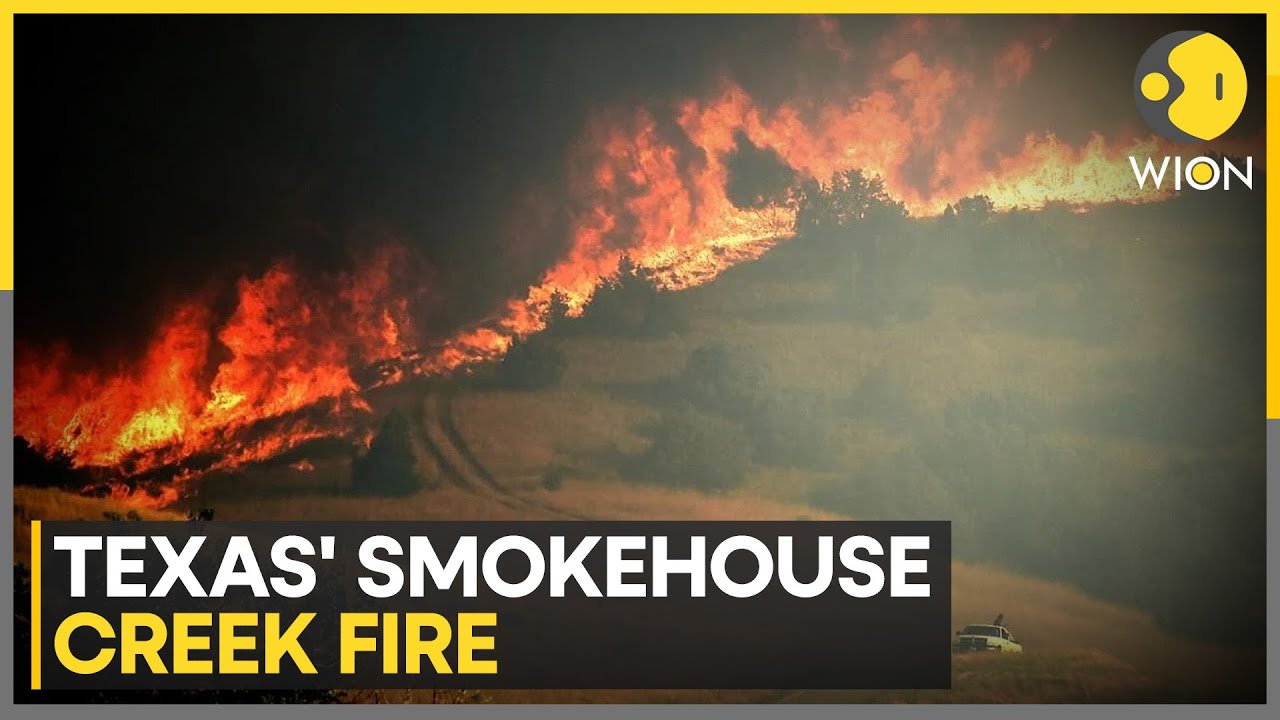 Historic Texas wildfire torches 1 million acres | WION News
