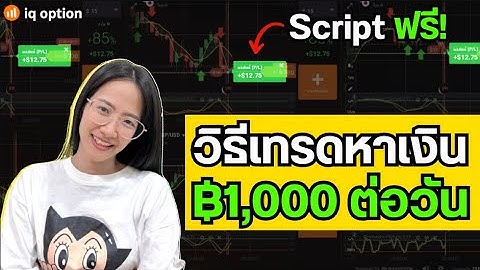 วิธีหาเงินจากการเทรด 1,000 บาท ต่อวัน เทรด IQ Option ใช้ Script ฟรี! | Pleng Nutcha
