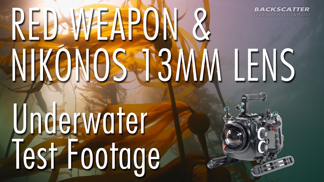 RED Weapon 8K with Nikonos RS 13mm Lens - Underwater Test Footage