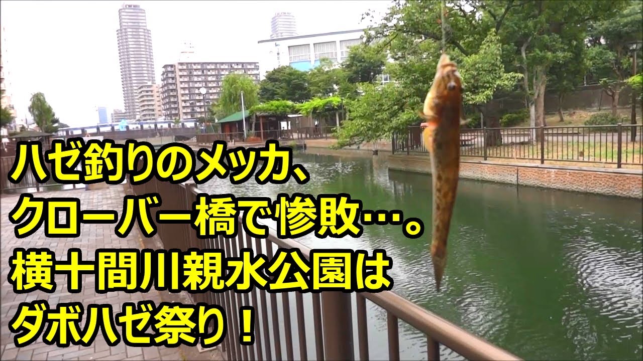 ハゼ釣りのメッカ クローバー橋で惨敗 横十間川親水公園はダボハゼ祭り Youtube
