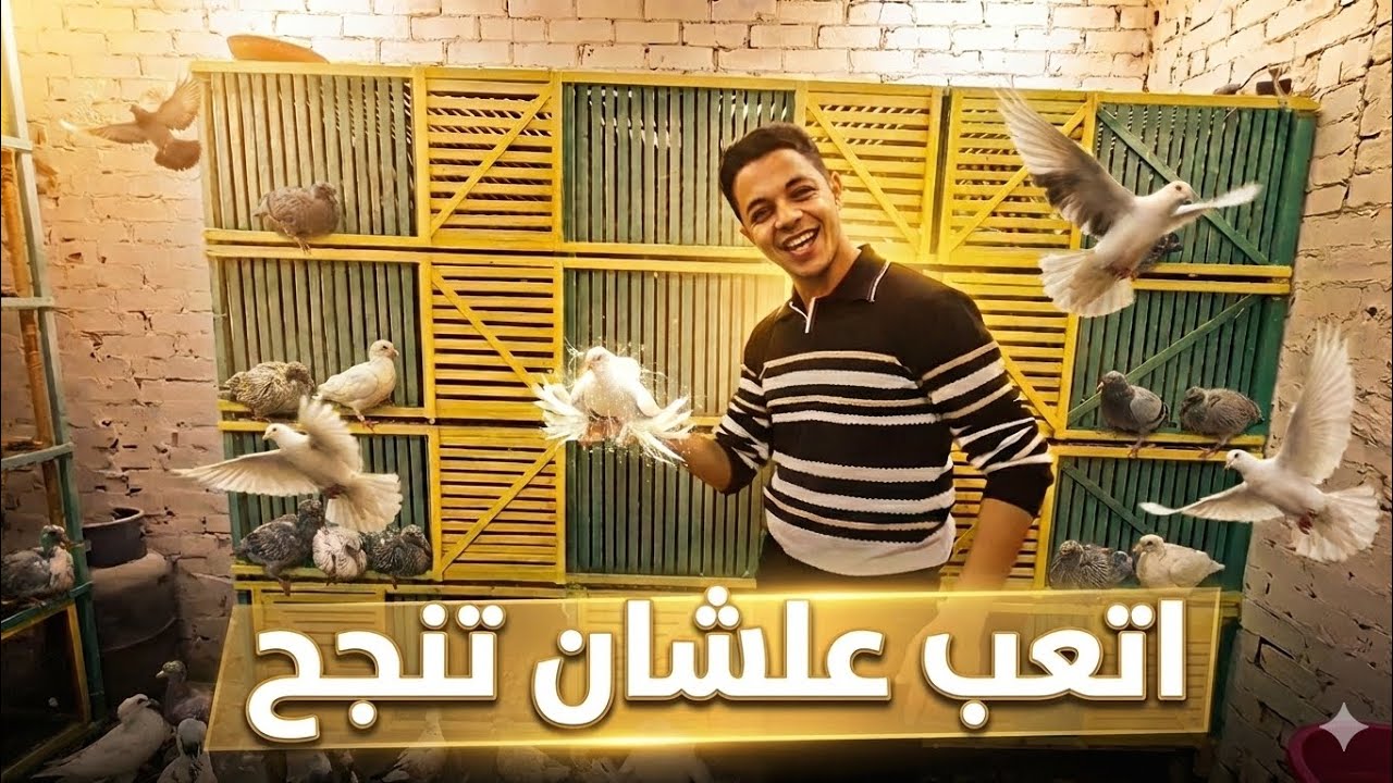 متابعة السلاكة ونتايج هتبهرك!💯👌هل التعب بيجيب نتيجة فعلًا؟!🤔