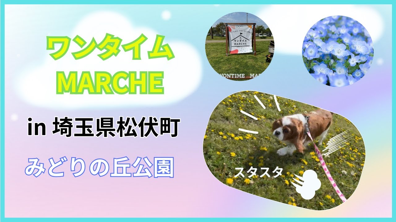 【ドッグイベントに参加】ワンタイムマルシェ！