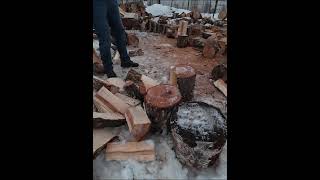 Fiskars X36 Winter Edition! #shorts #fyp #foryou #firewood #fiskars #axe