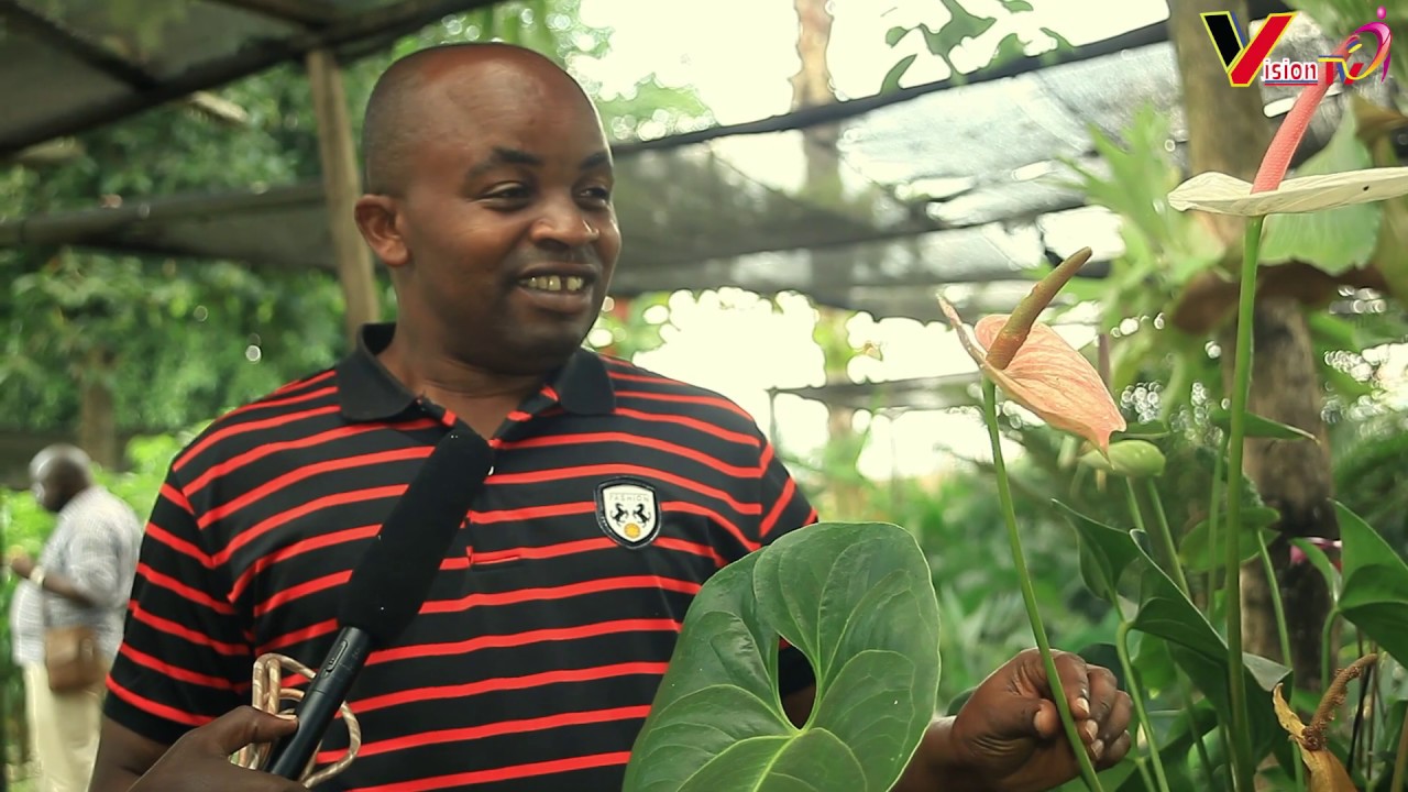 Tembera umurima w'indabo|| Bafite n'ibiti bya pome,mu Rwanda zirera|| Hari ibiti by'imbuto ziribwa