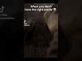 Random memes I found in my toilet #memes #funny