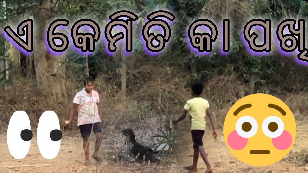 O Bhai E Keminti Ka Pakhi😱