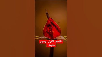 إنك لاتهدي من احببت #قرآن #كريم #تلاوة_خاشعة #اكسبلور #فولو #مشاركة #اجر_لي_ولك