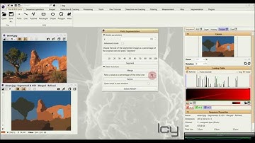 Potts Segmentation - Icy plug-in - Demo