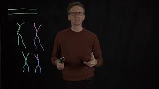 Lecture 11, concept 09: Single-site vs. recombinant mutations