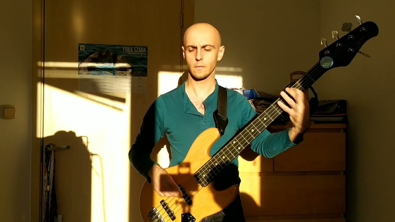 Chaka Khan Our love is in danger - bass cover