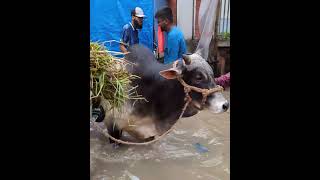 এই দিনে বিশ্বনবী বলেছেন খাইরুল দুয়া দুয়া আরাফা। #fbviral #blogs #reels #love #l