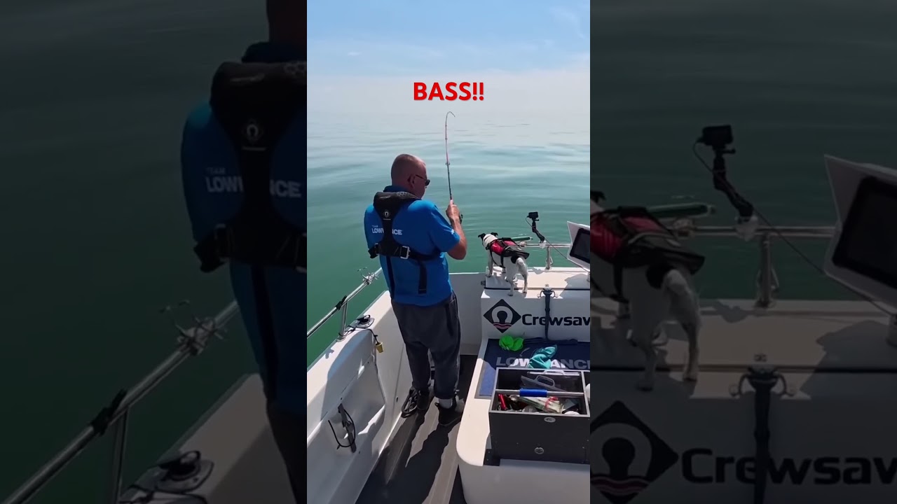 Клёв окуня! @ManicFishing 