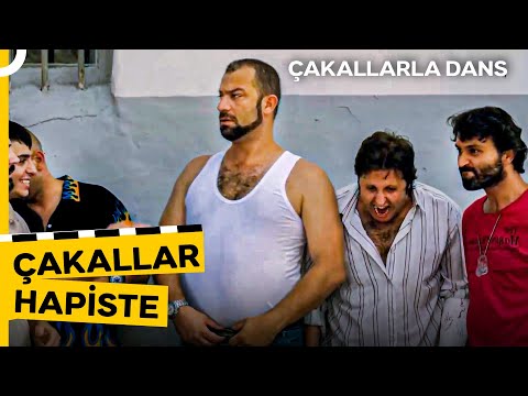 Birlikte Güldüğümüz Sahneler #36 - Biz Daha Ölmedik! | Çakallarla Dans