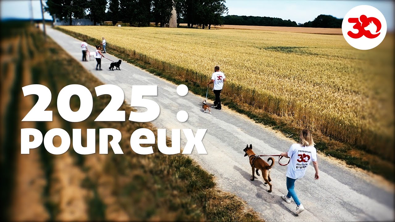 2025 EN IMAGES : une année avec 30 Millions d'Amis ! 🐶🐈