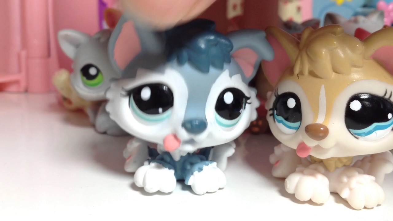 LPS || All of My Kittens and Puppies // LPS Collection - YouTube