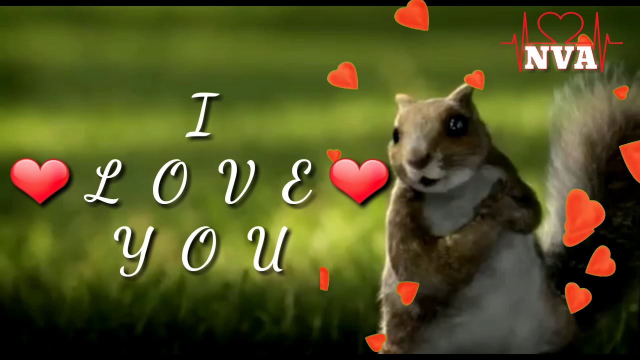 I love you Squirrel Dance Whatsapp Status with lyrics Kitkat ad