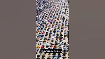 Taliban Taliban Afghanistan Taliban Status مجاهد امارت Usa Shortvideo طالبان Freegaza 