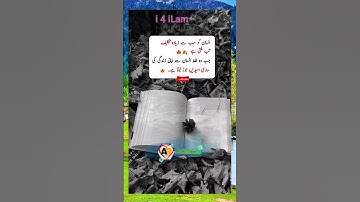 #viral #ytshorts #youtubeshorts #quotes #trending #video #shortvideo #shorts #islam 59