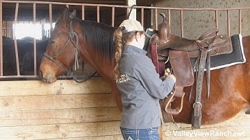 Rudy***For info, price, etc., go to our website***ValleyViewRanch.net