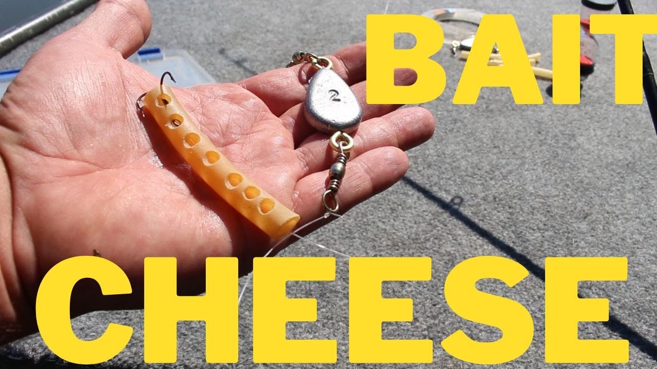 Detailed Catfishing with Bait Cheese YouTube
