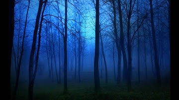 Firefly Sanctuary - (Live Remix)