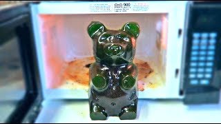 Don't Microwave Giant Gummy Bear!