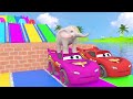 The Ultimate 3D Animal Collision In Long Slide Game