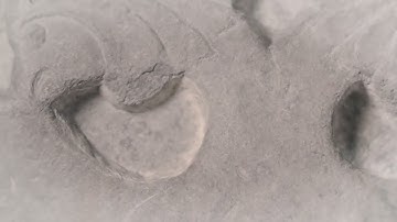 TV Opener with After Effects Trapcode Particular (Disintegration Effect)