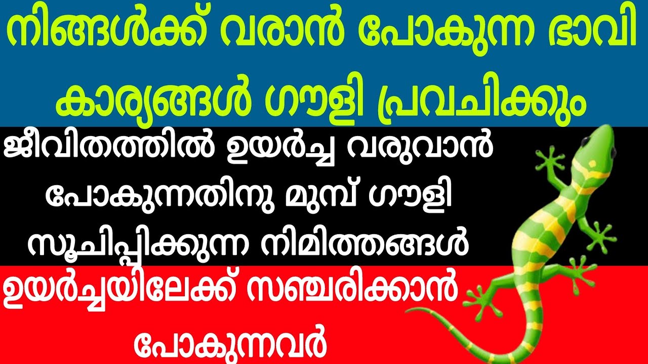 ഗൗളി പറയുന്ന പ്രവചനം, ഗൗളി ശാസ്ത്രം 🙏