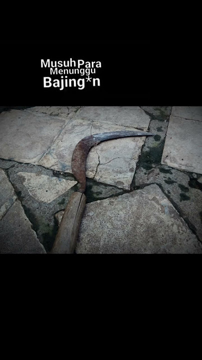 Download lagu lagu tawuran