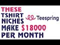 Teespring $18000 Strategy from Scratch | NO DROPSHIPPING or Shopify | Facebook Ads Strategy