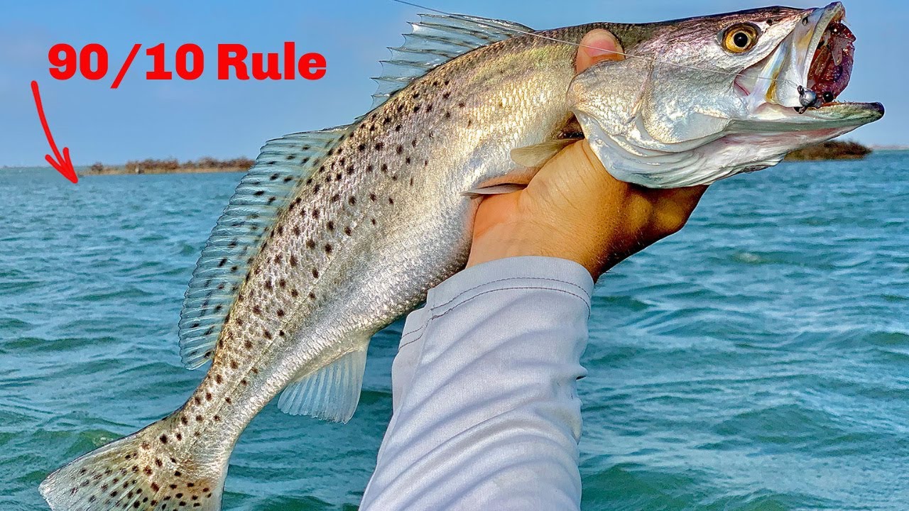 How To Find 90% Of The Feeding Fish In Your Area - YouTube