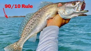 How To Find 90% Of The Feeding Fish In Your Area