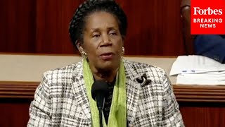 Sheila Jackson Lee: Government Is Still Open 'Because Of The Advocacy Of Democrats'