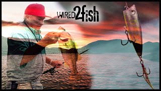 4 Factors for Topwater Bass Fishing Success | Roland Martin