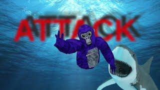 Shark ATTACK Update In Gorilla Tag