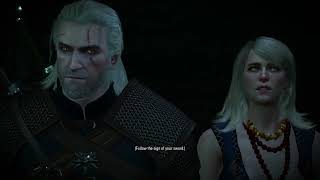 Witcher 3 || Wandering In The Dark #7